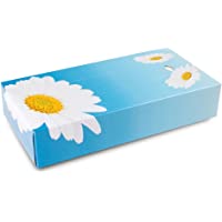 Funny AG-052 - Paquete de 10 x 100 pañuelos de papel extra suaves- 2 capas